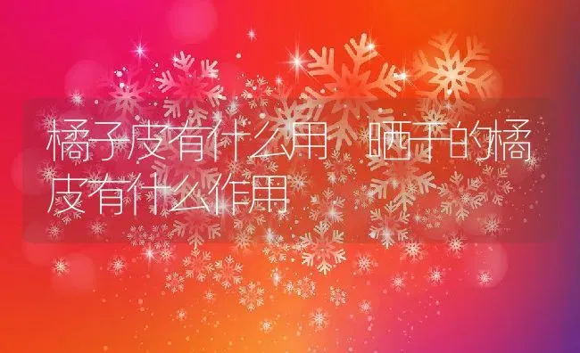 橘子皮有什么用 晒干的橘皮有什么作用 | 养殖资料投稿