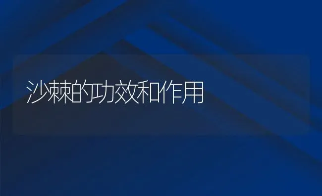 沙棘的功效和作用 | 养殖资料投稿