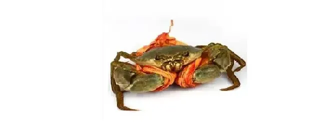 三门青蟹是海蟹还是河蟹