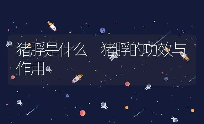 猪脬是什么 猪脬的功效与作用 | 养殖资料投稿