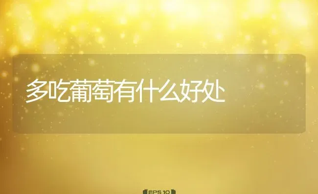 多吃葡萄有什么好处 | 养殖资料投稿