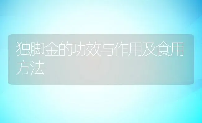 独脚金的功效与作用及食用方法 | 养殖资料投稿