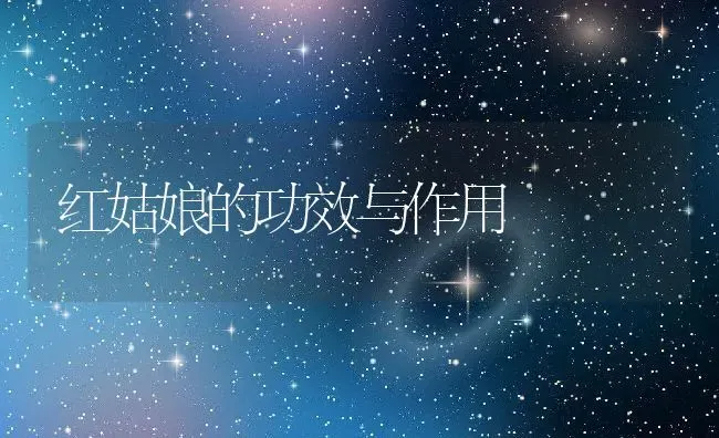 艾叶煮鸡蛋怎么煮 艾叶煮鸡蛋的营养价值 | 养殖资料投稿
