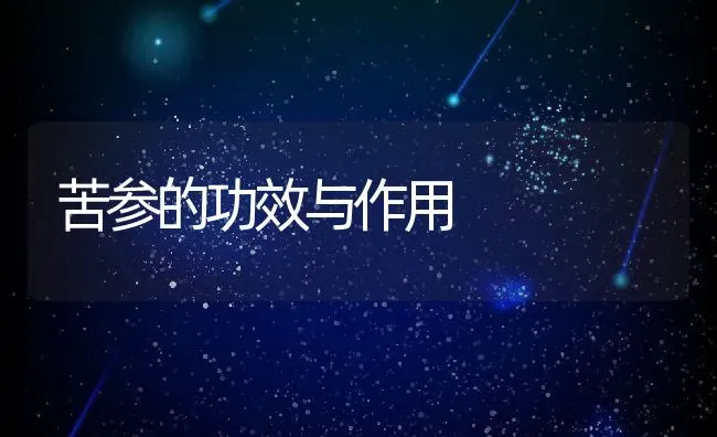 苦参的功效与作用 | 养殖资料投稿