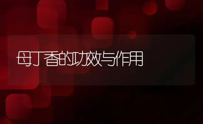 母丁香的功效与作用 | 养殖资料投稿