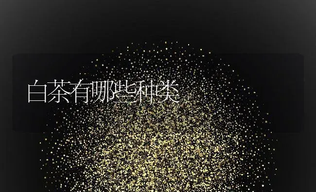 白茶有哪些种类 | 养殖资料投稿