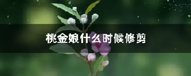 桃金娘什么时候修剪