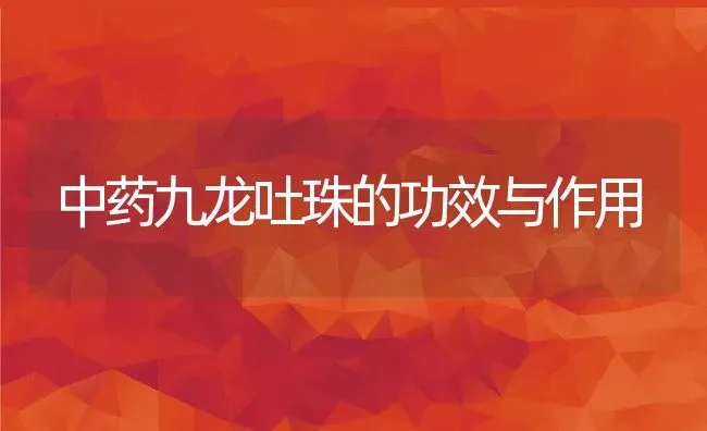 中药九龙吐珠的功效与作用 | 养殖资料投稿