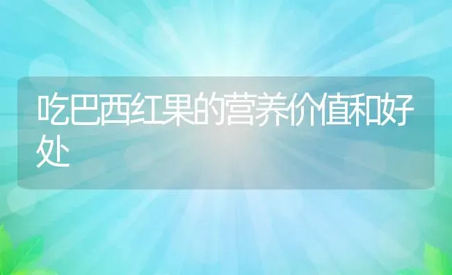 吃巴西红果的营养价值和好处 | 养殖资料投稿