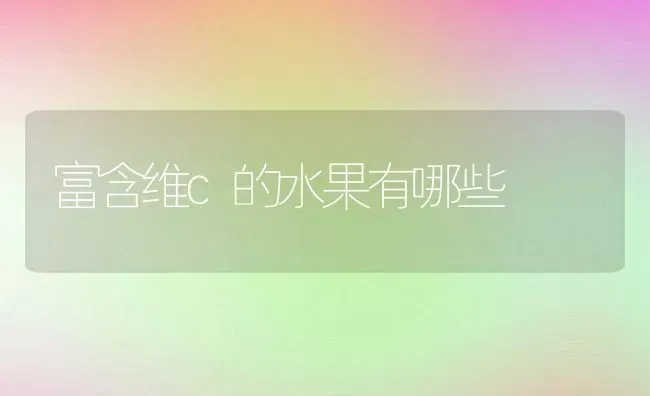 富含维c的水果有哪些 | 养殖资料投稿