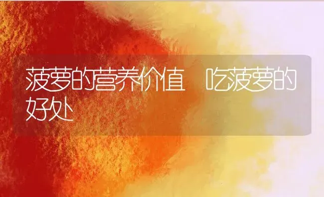 菠萝的营养价值 吃菠萝的好处 | 养殖资料投稿