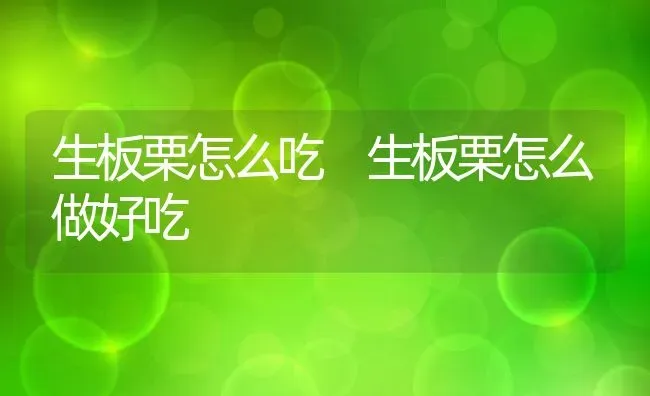 生板栗怎么吃 生板栗怎么做好吃 | 养殖资料投稿