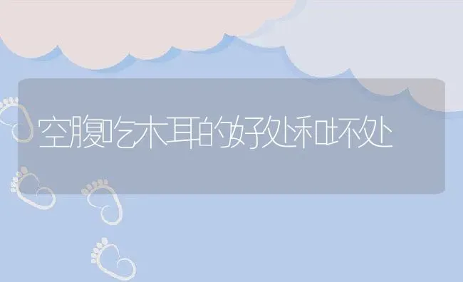 空腹吃木耳的好处和坏处 | 养殖资料投稿