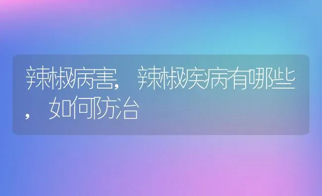 辣椒病害,辣椒疾病有哪些,如何防治 | 养殖资料投稿