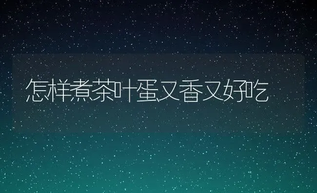 怎样煮茶叶蛋又香又好吃 | 养殖资料投稿