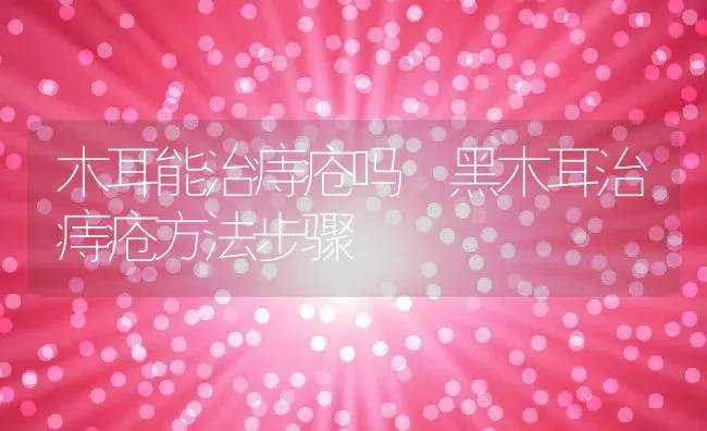 木耳能治痔疮吗 黑木耳治痔疮方法步骤 | 养殖资料投稿