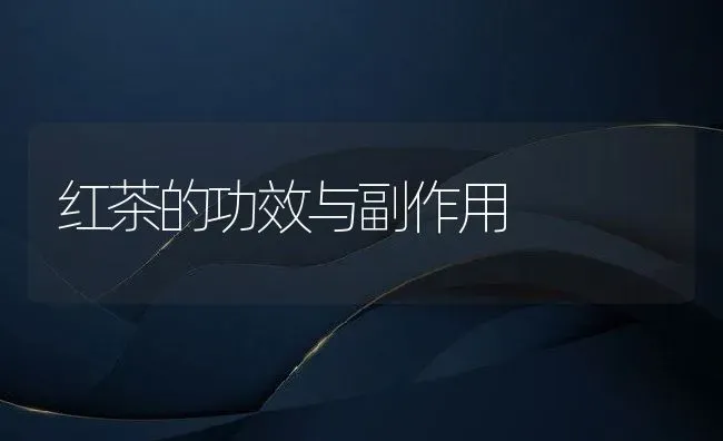 红茶的功效与副作用 | 养殖资料投稿