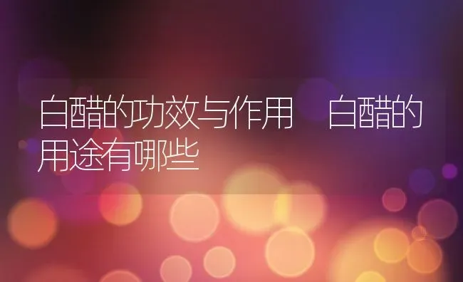 白醋的功效与作用 白醋的用途有哪些 | 养殖资料投稿