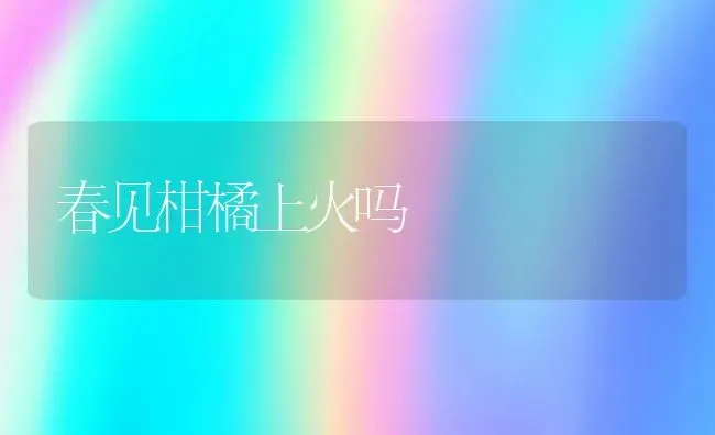 春见柑橘上火吗 | 养殖资讯