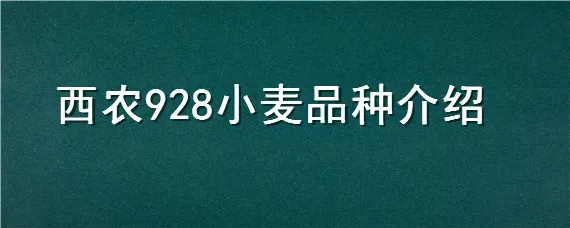 西农928小麦品种介绍