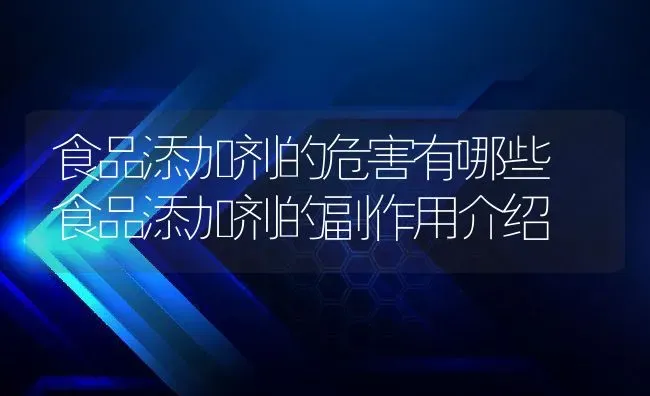 食品添加剂的危害有哪些 食品添加剂的副作用介绍 | 养殖资料投稿