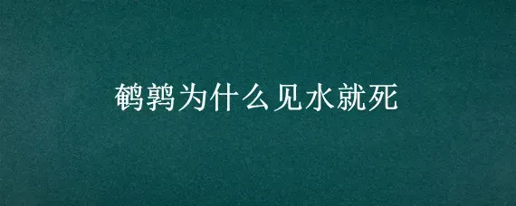 鹌鹑为什么见水就死