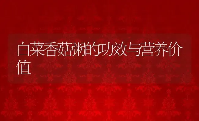 白菜香菇粥的功效与营养价值 | 养殖资讯