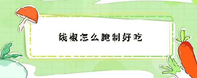 线椒怎么腌制好吃