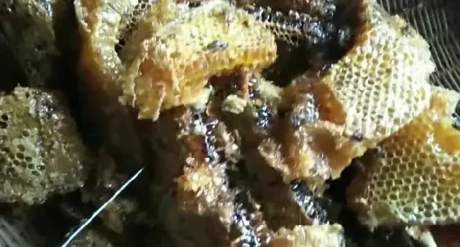 真正土蜂蜜多少钱一斤？