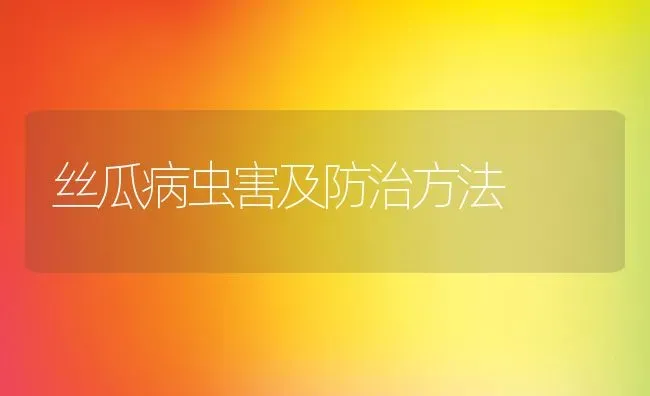 丝瓜病虫害及防治方法 | 养殖资料投稿
