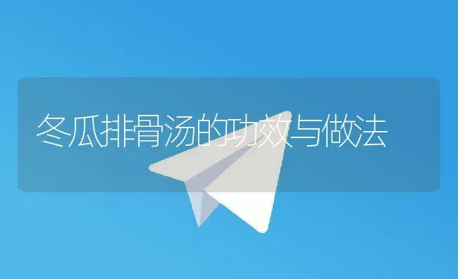 冬瓜排骨汤的功效与做法 | 养殖资料投稿