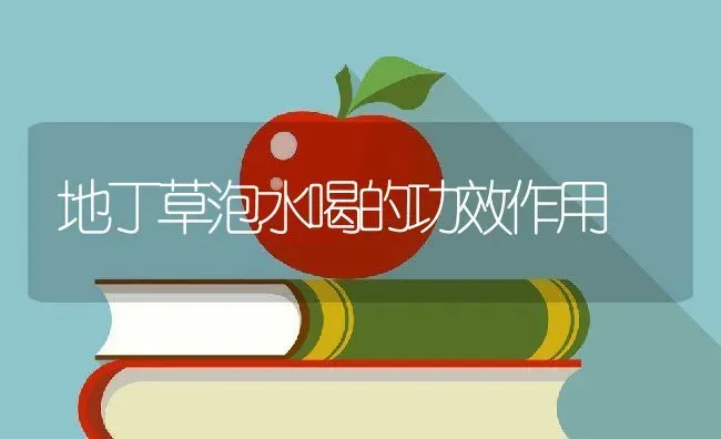 地丁草泡水喝的功效作用 | 养殖资料投稿