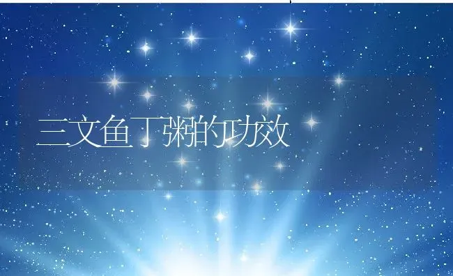 三文鱼丁粥的功效 | 养殖资料投稿