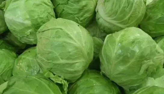 包菜的营养价值及功效