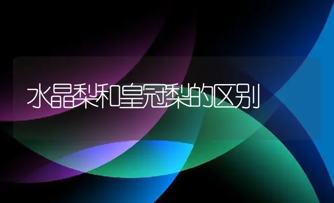 水晶梨和皇冠梨的区别 | 养殖资料投稿