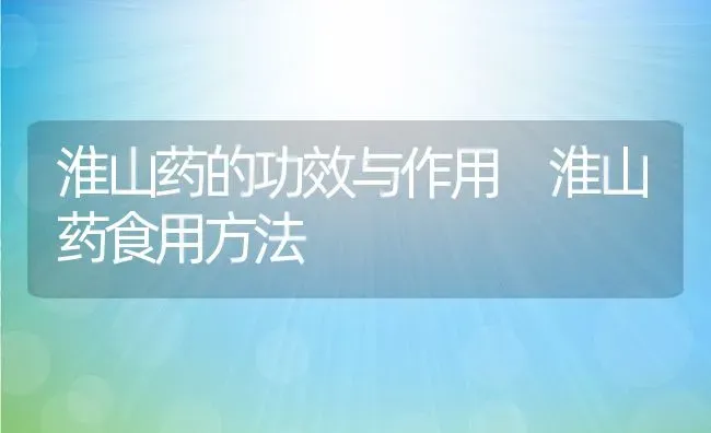 淮山药的功效与作用 淮山药食用方法 | 养殖资料投稿