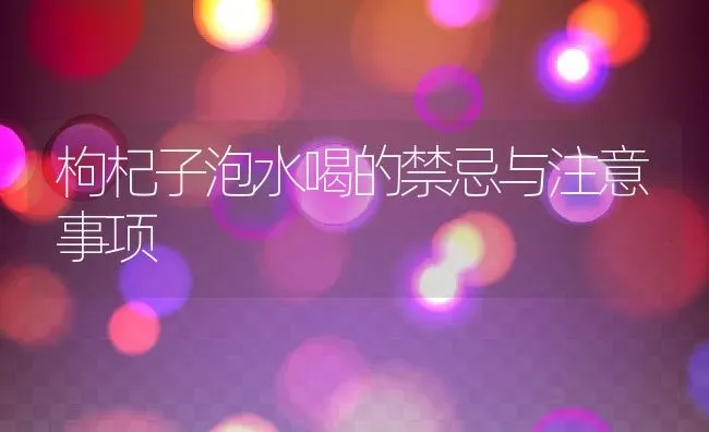 枸杞子泡水喝的禁忌与注意事项 | 养殖资料投稿
