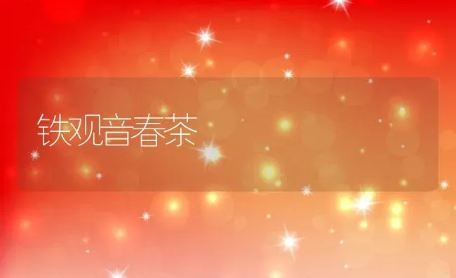 铁观音春茶 | 养殖资料投稿