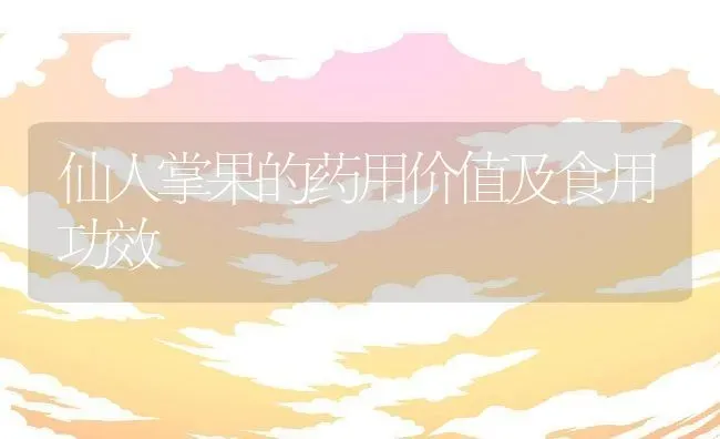 仙人掌果的药用价值及食用功效 | 养殖资料投稿