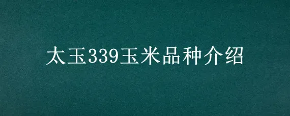 太玉339玉米品种介绍