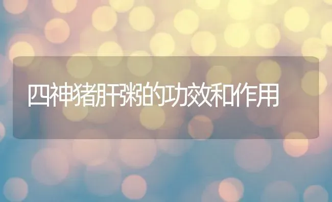 四神猪肝粥的功效和作用 | 养殖资料投稿