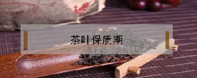 茶叶保质期