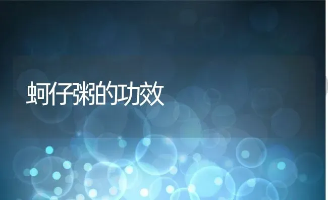 蚵仔粥的功效 | 养殖资讯