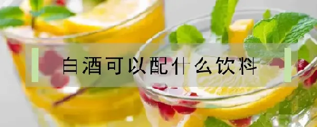 白酒可以配什么饮料