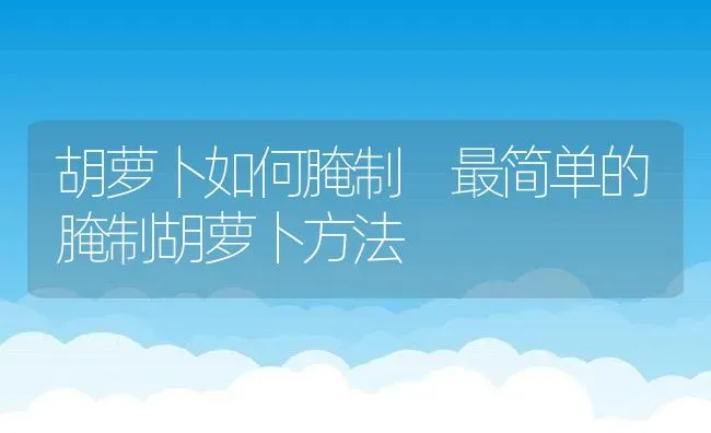 胡萝卜如何腌制 最简单的腌制胡萝卜方法 | 养殖资料投稿