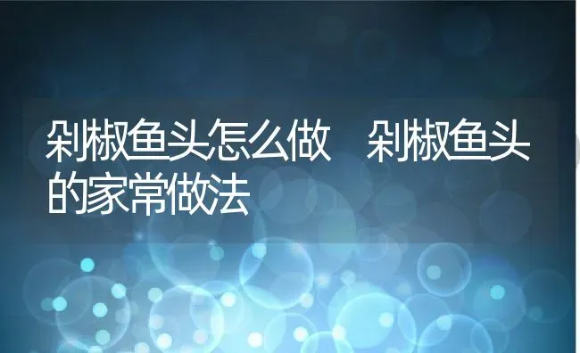 剁椒鱼头怎么做 剁椒鱼头的家常做法 | 养殖资料投稿