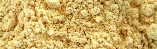 松花粉的价格是多少钱一斤？