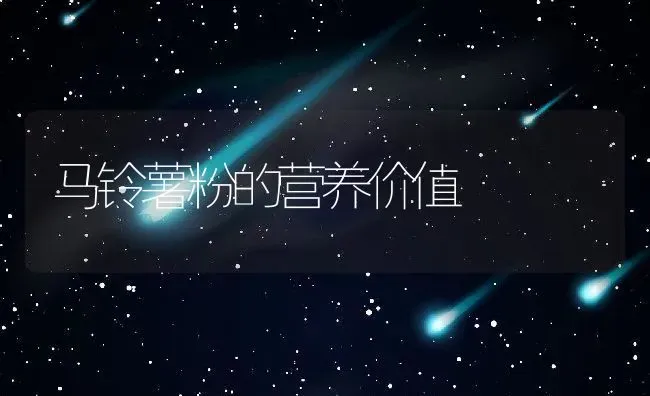 马铃薯粉的营养价值 | 养殖资料投稿