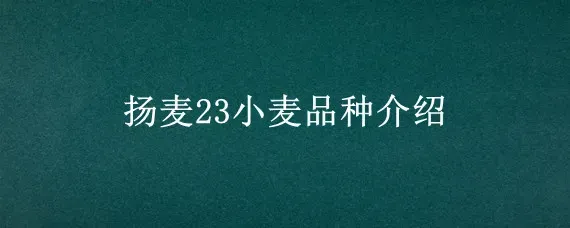 扬麦23小麦品种介绍