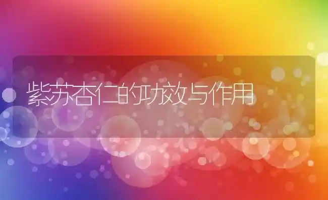 紫苏杏仁的功效与作用 | 养殖资料投稿